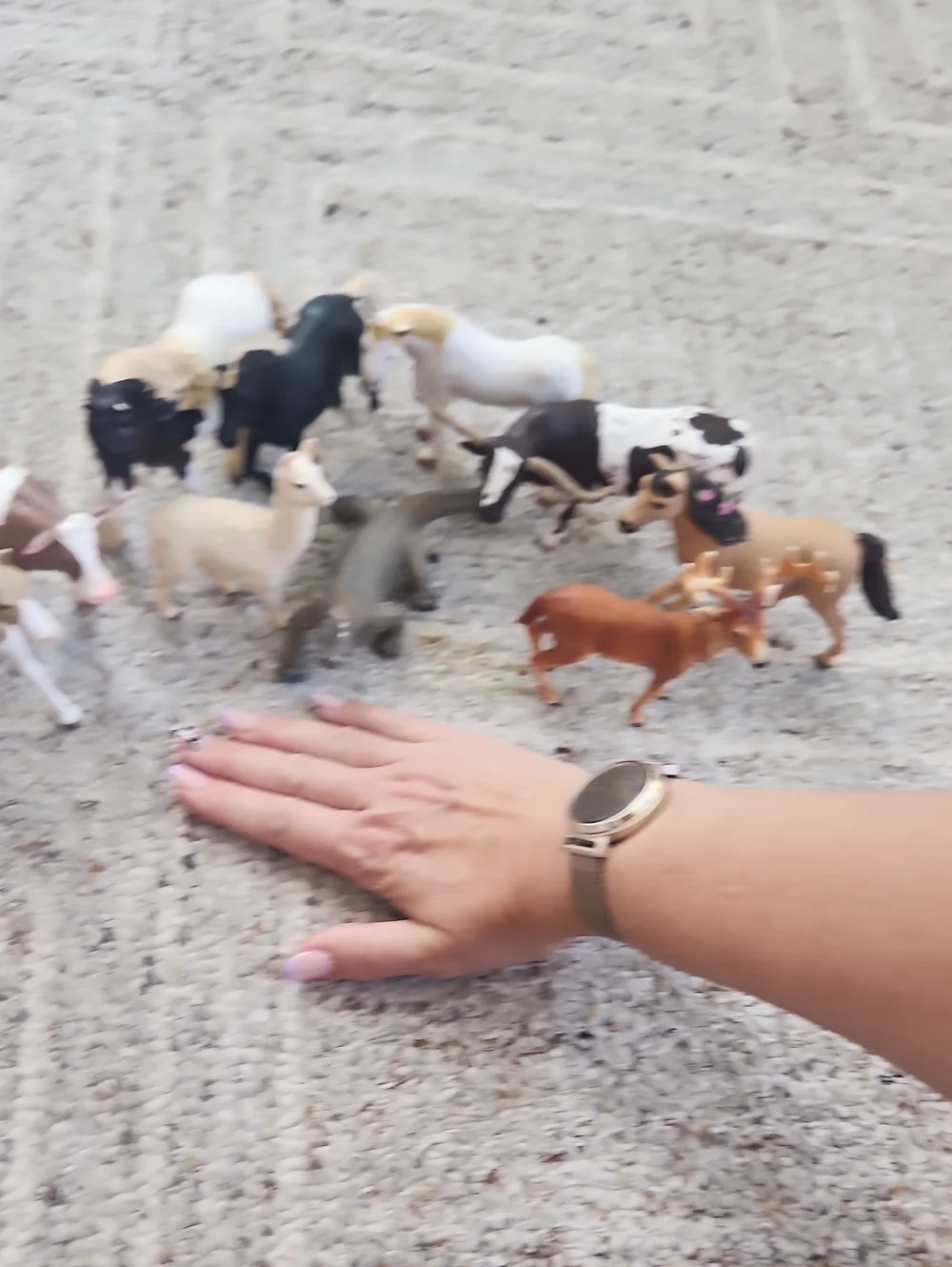 Plastic Horses And Animal